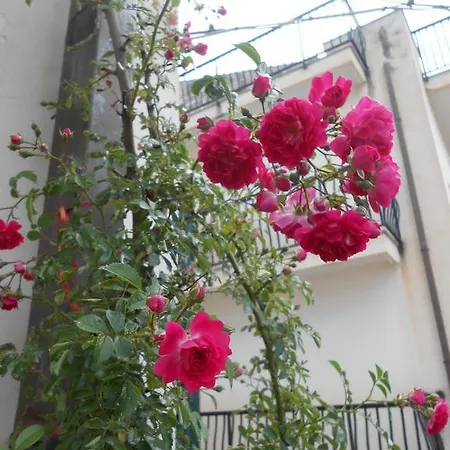 Apartment Canton Delle Rose